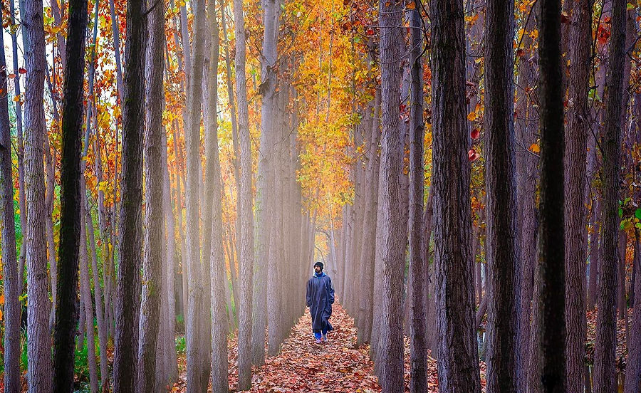 autumn kashmir bobby_edited.jpg